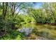 Scenic view of a river with lush green banks and foliage at 11471 Clarkston Rd, Zionsville, IN 46077