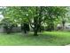 A spacious backyard features a large tree with lush greenery, offering ample shade and privacy at 1202 S Ribble Ave, Muncie, IN 47302