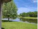 Scenic pond view framed by lush trees and landscaping at 4719 Arabian Run, Indianapolis, IN 46228