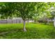 Spacious backyard featuring a well-maintained lawn, mature tree providing ample shade, and privacy fence enhancing seclusion at 5643 Rosslyn Ave, Indianapolis, IN 46220