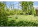 Large grassy backyard with lush green trees and a hammock for relaxing outdoors at 7420 Denton Cir, Indianapolis, IN 46256