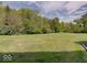 Expansive backyard with well-maintained lawn, framed by lush trees at 1098 Timber Creek Dr # 2, Carmel, IN 46032