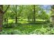 Lush backyard featuring expansive lawn, mature trees, and verdant foliage creating a serene outdoor space at 265 Monticello Dr, Greenwood, IN 46142
