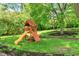 Backyard featuring a play set with climbing wall, slide, and swing at 5648 Rolling Ridge Rd, Indianapolis, IN 46220