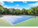 Well-maintained community tennis court surrounded by lush greenery on a sunny day at 9036 Buckeye Ct, Indianapolis, IN 46260
