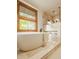 Bathroom boasts a large soaking tub with a view, and an open walk-in shower at 9387 Sullivan Pl, Zionsville, IN 46077