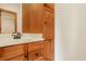 Bathroom vanity with a sink, wood cabinets, a mirror with views of the shower at 9387 Sullivan Pl, Zionsville, IN 46077