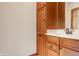Bathroom vanity with a sink, wood cabinets, and a mirror with views of the shower at 9387 Sullivan Pl, Zionsville, IN 46077