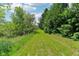 Tranquil land with a tree lined green path that offers a natural and private escape at 2884 Brook Vista Dr, Carmel, IN 46032