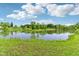 Scenic view of a tranquil pond surrounded by lush greenery and a beautiful blue sky at 2884 Brook Vista Dr, Carmel, IN 46032
