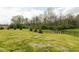 A well-manicured backyard featuring a verdant lawn, decorative trees and an elegant black fence at 4078 Besbie Way, Bargersville, IN 46106