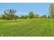 Expansive backyard featuring a wooden pergola, a young tree, and lush green lawn, perfect for outdoor enjoyment at 4732 Ferguson Rd, Indianapolis, IN 46239