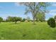 Expansive green backyard featuring mature trees, providing ample space for outdoor activities at 4732 Ferguson Rd, Indianapolis, IN 46239