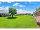 Spacious backyard with lush green lawn, mature trees, and a partial view of rear home exteriors at 8145 Bentley Farms Dr, Indianapolis, IN 46259