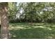 Lush backyard featuring mature trees and a well-manicured lawn at 8507 Promontory Rd, Indianapolis, IN 46236