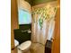 Updated bathroom includes green walls, hand rails, patterned shower curtain, and window at 10946 Maze Rd, Indianapolis, IN 46259