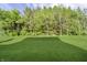 Green backyard with trees at 14003 Grannan Ln, Carmel, IN 46074