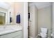 Bright bathroom with a modern vanity, toilet, and soft color scheme at 14003 Grannan Ln, Carmel, IN 46074