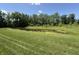 Scenic pond surrounded by lush greenery and trees, offering a peaceful retreat at 14003 Grannan Ln, Carmel, IN 46074