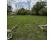 Large backyard featuring ample green space surrounded by mature trees, showcasing the potential for outdoor activities and relaxation at 1503 E 20Th St, Muncie, IN 47302