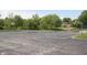 Outdoor asphalt basketball court with hoops, surrounded by greenery and a glimpse of nearby homes at 15203 Shoreway Ct, Carmel, IN 46032