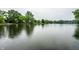 Scenic view of a tranquil pond surrounded by lush greenery on a cloudy day at 15203 Shoreway Ct, Carmel, IN 46032