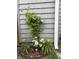 A beautiful flower garden against the backdrop of a charming gray home at 2829 Somerset Bay, Indianapolis, IN 46240
