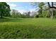 Expansive green pasture with scattered trees, offering ample space and natural beauty at 296 W Greencastle Rd, Mooresville, IN 46158