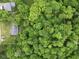 Aerial view of property boundary surrounded by lush trees at 9170 W Old Nashville Rd, Columbus, IN 47201