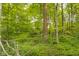 Lush backyard features dense green foliage and mature trees, creating a private and serene outdoor space at 9170 W Old Nashville Rd, Columbus, IN 47201