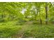 Picturesque backyard with an abundance of green ground cover and mature trees creating a peaceful natural setting at 9170 W Old Nashville Rd, Columbus, IN 47201