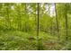 A large private parcel of wooded acreage at 9170 W Old Nashville Rd, Columbus, IN 47201