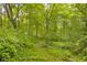 Lush wooded acreage ready for nature lovers to explore at 9170 W Old Nashville Rd, Columbus, IN 47201