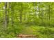 Beautiful wooded acreage offering privacy and seclusion at 9170 W Old Nashville Rd, Columbus, IN 47201