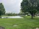 Scenic view of the community pond with mature trees and manicured green space at 1604 Stonewall Dr, Greenfield, IN 46140