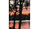 Beautiful sunset view overlooking a serene lake with trees in the foreground at 3602 Bay Rd S Dr, Indianapolis, IN 46240