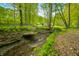 Creek with natural stone banks, flowing through a serene wooded property with mature trees at 680 Unity Church Rd, Morgantown, IN 46160