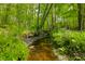 Small creek running along the property line with lots of overhanging vegetation at 680 Unity Church Rd, Morgantown, IN 46160