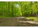 Gravel driveway leading through a lush, green forest to the property at 680 Unity Church Rd, Morgantown, IN 46160
