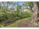 Beautiful lush backyard with mature trees and stream running through the yard at 320 Thornberry Dr, Carmel, IN 46032