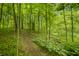 Scenic walking path in a tranquil wooded area with lush greenery and tall trees at 4128 Whitetail Woods Dr, Bargersville, IN 46106