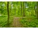 Lush walking path through a vibrant wooded area with mature trees and foliage at 4128 Whitetail Woods Dr, Bargersville, IN 46106