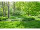 Lush backyard with mature trees, manicured garden beds, and a serene, park-like atmosphere at 5851 Beisinger Pl, Indianapolis, IN 46237