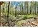 A peaceful wooded creek flows through the property, enhanced with stacked rock and log features, offering a serene natural ambiance at 8820 Mud Creek Rd, Indianapolis, IN 46256