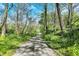 Scenic driveway winding through a lush, wooded landscape at 8820 Mud Creek Rd, Indianapolis, IN 46256