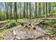 Tranquil fire pit area with wooden benches nestled in a serene wooded setting, perfect for outdoor relaxation at 8820 Mud Creek Rd, Indianapolis, IN 46256