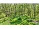 Wooded landscape with mature trees and grass, ideal for privacy and enjoying nature at 8820 Mud Creek Rd, Indianapolis, IN 46256