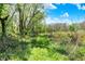 Scenic view of a grassy path surrounded by lush trees and foliage, creating a natural trail at 8820 Mud Creek Rd, Indianapolis, IN 46256