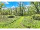 Scenic grassy trail winding through a lush, green forest, offering a serene natural escape at 8820 Mud Creek Rd, Indianapolis, IN 46256