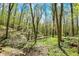 Picturesque wooded area features a small creek running through a serene landscape with mature trees and natural undergrowth at 8820 Mud Creek Rd, Indianapolis, IN 46256
